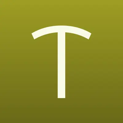 Трунетворк, ООО, телекоммуникационная компания, не удалось сверить, всё закрыто, телекоммуникационная компания, лого-визитка